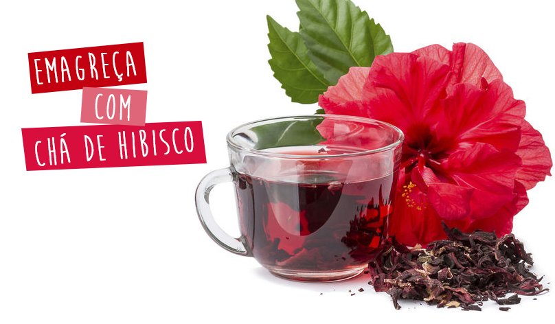 Chá de hibisco emagrece chris castro 2