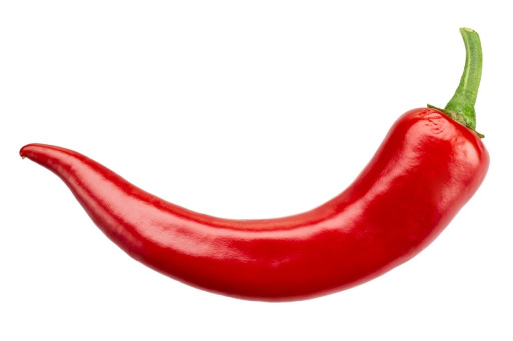 Red hot chili pepper isolated on a white background