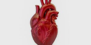 Leia mais sobre o artigo A cada 72 segundos, uma pessoa morre por doença cardiovascular no país