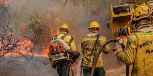 Leia mais sobre o artigo Fiocruz analisa impacto das queimadas na saúde indígena no Amazonas